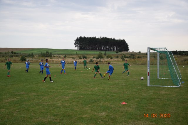 plewis 10